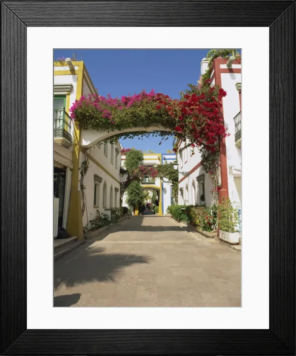 Framed Print : Flowers on the arches, over Little Venices alleyways, Puerto de Morgan Framed Print : Flowers on the arches, over Little Venices alleyways, Puerto de Morgan