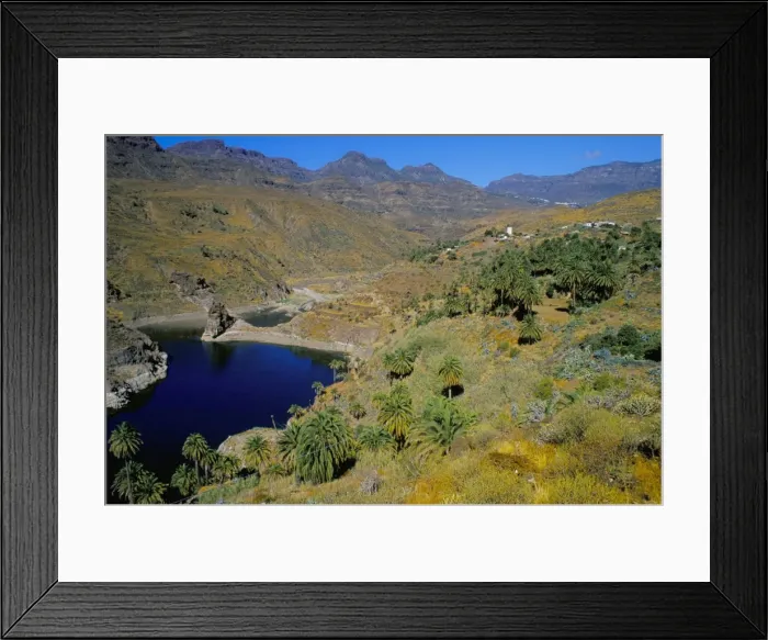 Framed Print : Palm trees at Embalse de Fataga (artificial lake), Fataga, Gran Canaria Framed Print : Palm trees at Embalse de Fataga (artificial lake), Fataga, Gran Canaria
