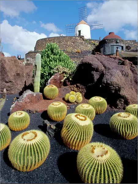 Cacti and windmill at Jardin de los Cactus, Cesar Manriques work of art
