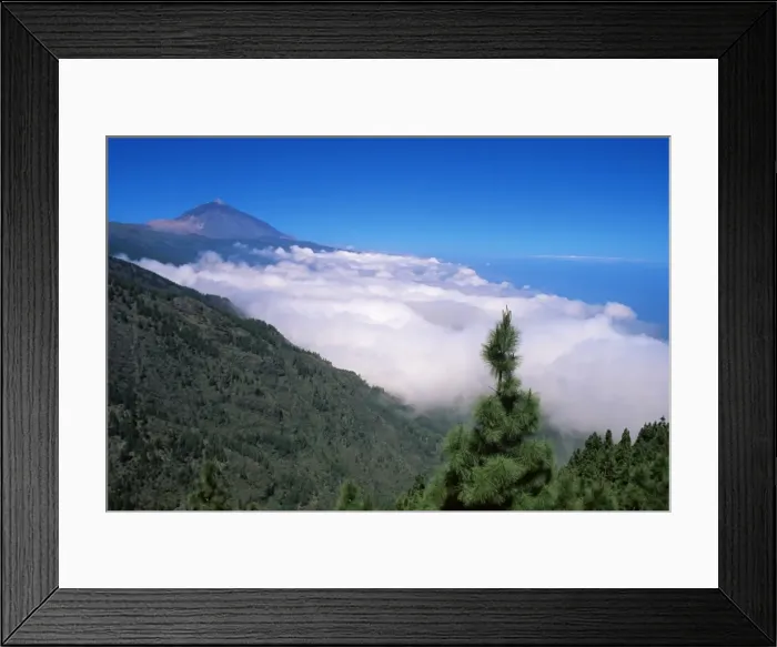 Framed Print : Mount Teide and pine trees, Teide National Park, Tenerife, Canary Islands Framed Print : Mount Teide and pine trees, Teide National Park, Tenerife, Canary Islands