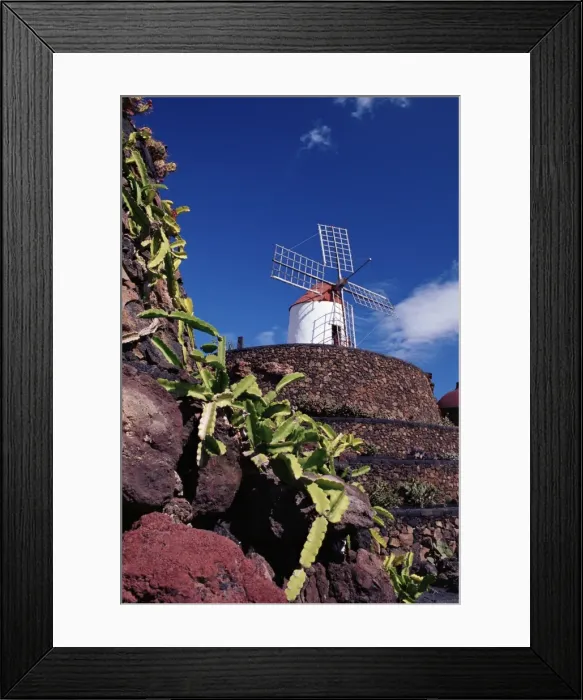 Framed Print : Cacti and windmill at Jardinn de los Cactus, Cesar Manriques work of art Framed Print : Cacti and windmill at Jardinn de los Cactus, Cesar Manriques work of art