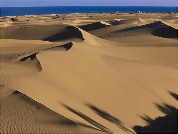 Sand dunes and sea, Maspalomas, Gran Canaria, Canary Islands, Spain, Atlantic, Europe