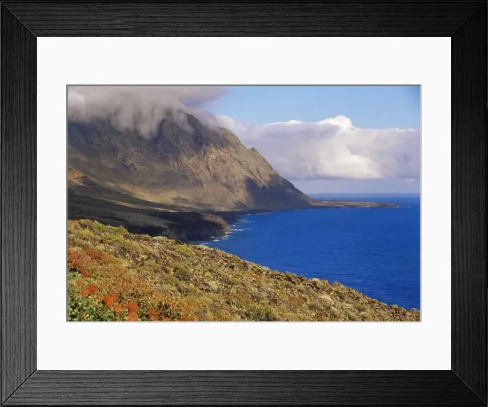 Framed Print : Flowers and mountains on the southern coast, El Hierro, Canary Islands Framed Print : Flowers and mountains on the southern coast, El Hierro, Canary Islands
