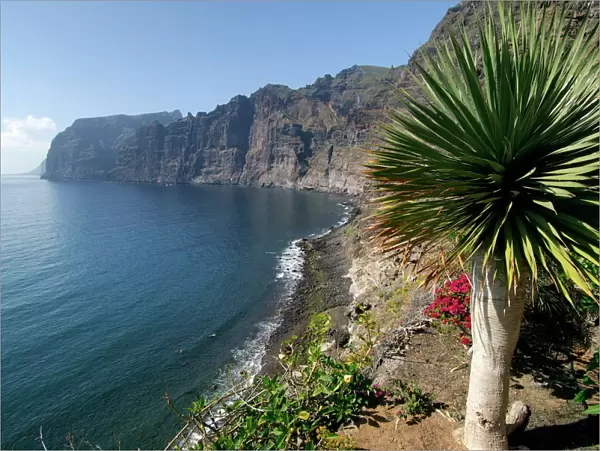 Los Gigantes cliffs, Tenerife, Canary Islands, Spain