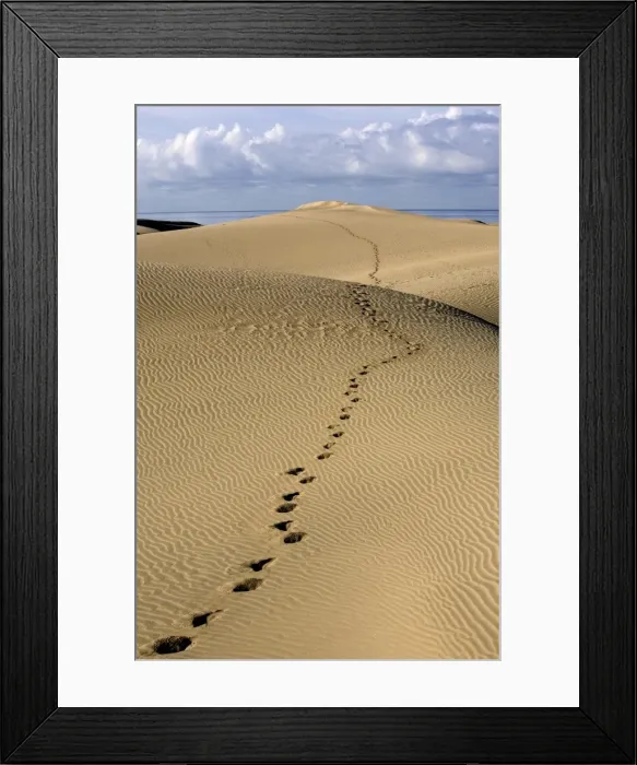 Framed Print : Maspalomas dunes, Gran Canaria, Canary Islands, Spain, Europe