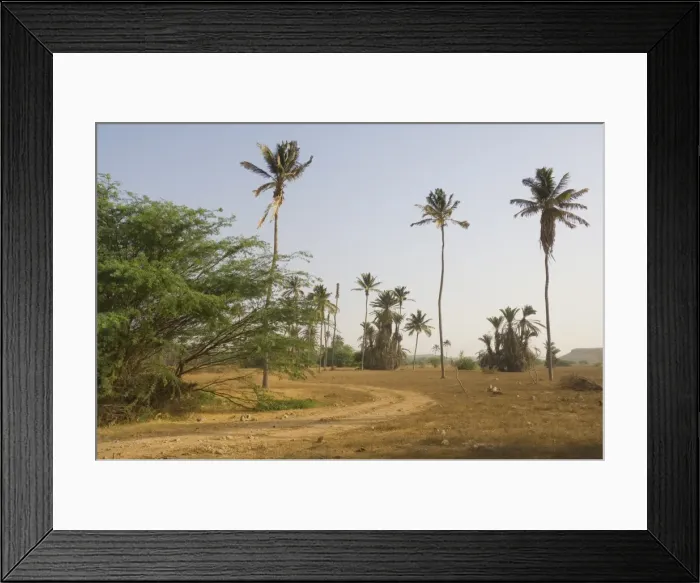 Framed Print : Oasis, Boa Vista, Cape Verde Islands, Africa Framed Print : Oasis, Boa Vista, Cape Verde Islands, Africa