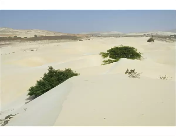 Desert and sand dunes in the middle of the island of Boa Vista, Cape Verde Islands