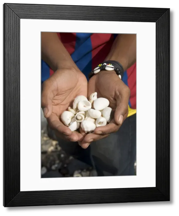 Framed Print : Shells found on beach, Sao Vicente, Cape Verde Islands, Africa Framed Print : Shells found on beach, Sao Vicente, Cape Verde Islands, Africa