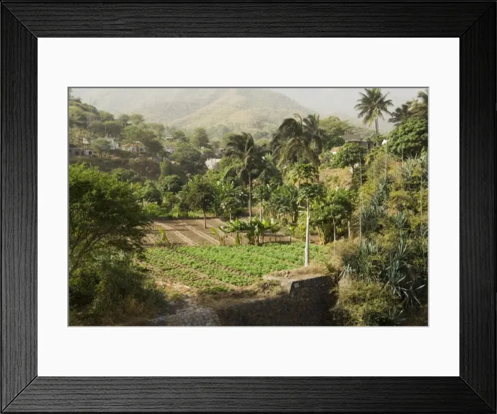 Framed Print : Agriculture, Santiago, Cape Verde Islands, Africa Framed Print : Agriculture, Santiago, Cape Verde Islands, Africa