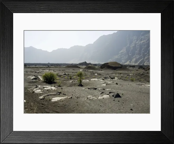 Framed Print : Vegetation gowing well in the fertile soil of the volcanic caldera, Fogo (Fire) Framed Print : Vegetation gowing well in the fertile soil of the volcanic caldera, Fogo (Fire)