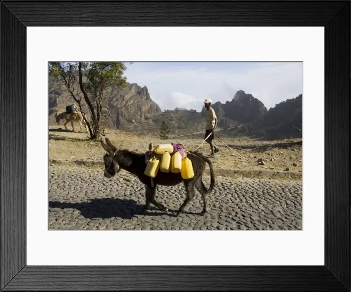 Framed Print : Donkey carrying water, Santo Antao, Cape Verde Islands, Africa Framed Print : Donkey carrying water, Santo Antao, Cape Verde Islands, Africa