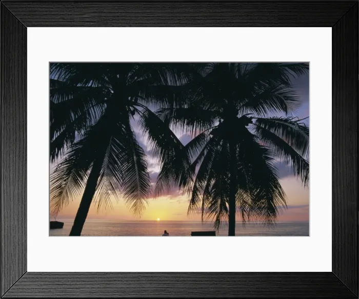 Framed Print : Tropical sunset framed by palm trees, Cayman Islands, West Indies, Central America Framed Print : Tropical sunset framed by palm trees, Cayman Islands, West Indies, Central America