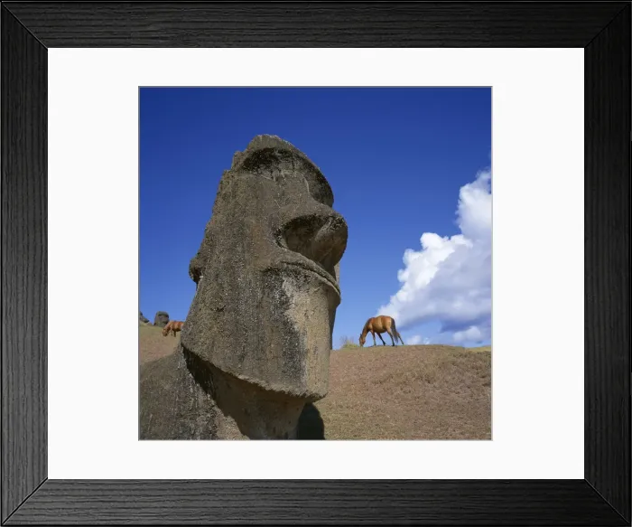 Framed Print : Close-up of Rano Rarakay, stone head carved from crater, Moai stone statues Framed Print : Close-up of Rano Rarakay, stone head carved from crater, Moai stone statues