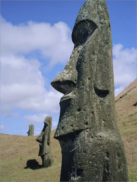 Unfinished heads on outer south slopes of the crater, Rano Raraku, Easter Island, Chile