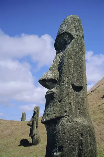 Unfinished heads on outer south slopes of the crater, Rano Raraku, Easter Island, Chile