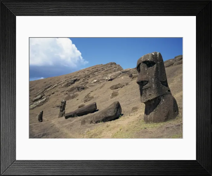 Framed Print : A partly finished moai statue in the quarry inside the crater at Rano Raraku on Easter Island Framed Print : A partly finished moai statue in the quarry inside the crater at Rano Raraku on Easter Island