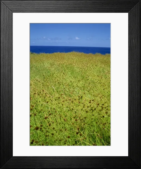 Framed Print : Landscape on the west coast of Easter Island, Chile, Pacific, South America Framed Print : Landscape on the west coast of Easter Island, Chile, Pacific, South America