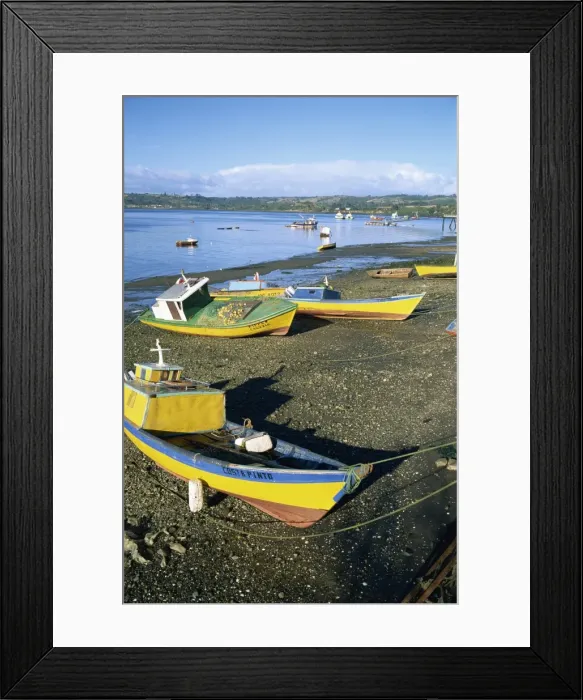 Framed Print : Fishing boats on the beach, zone of Dalcahue, near Castro, Chiloe island Framed Print : Fishing boats on the beach, zone of Dalcahue, near Castro, Chiloe island