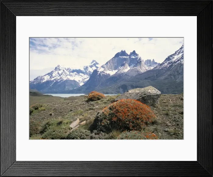 Framed Print : Torres del Paine National Park, Patagonia, Chile, South America Framed Print : Torres del Paine National Park, Patagonia, Chile, South America