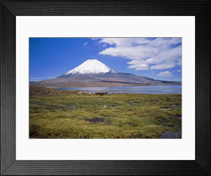 Framed Print : Lake Chungara and the snow capped volcano Parinacota, Lauca National Park Framed Print : Lake Chungara and the snow capped volcano Parinacota, Lauca National Park