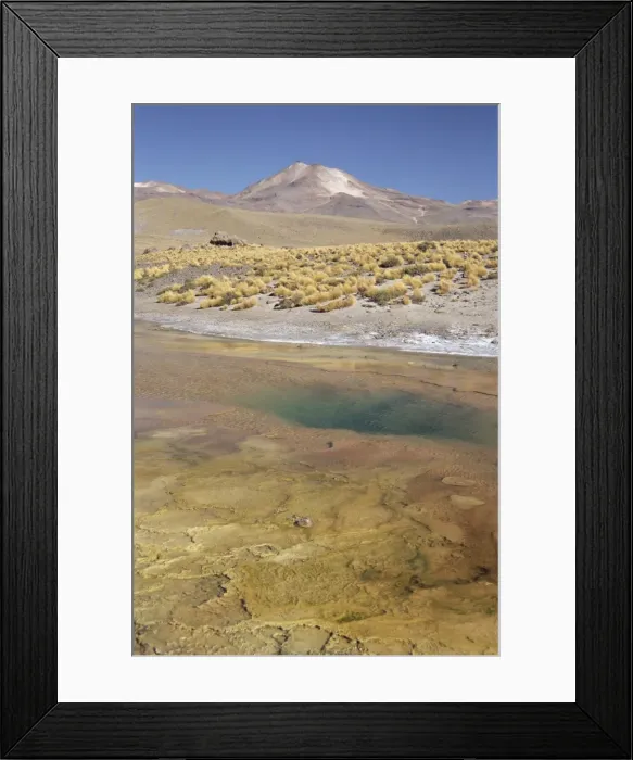 Framed Print : El Tatio geyser basin on altiplano, boiling pool with algal colour zoning