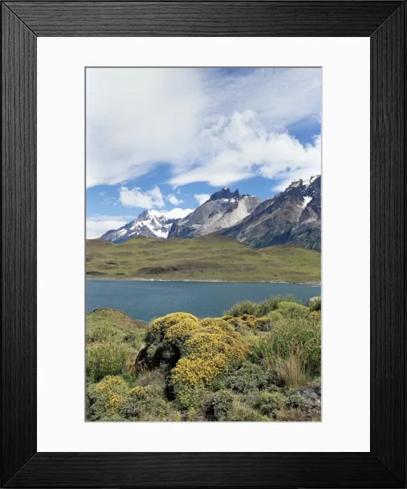 Framed Print : Landscape, Torres del Paine National Park, Patagonia, Chile, South America Framed Print : Landscape, Torres del Paine National Park, Patagonia, Chile, South America