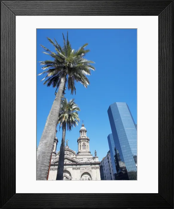 Framed Print : Metropolitan Cathedral, palm trees and downtown modern building, Plaza de Armas Framed Print : Metropolitan Cathedral, palm trees and downtown modern building, Plaza de Armas