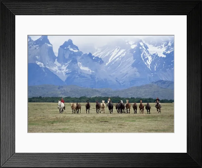 Framed Print : A group of gauchos riding horses, with the Cuernos del Paine (Horns of Paine) mountains behind Framed Print : A group of gauchos riding horses, with the Cuernos del Paine (Horns of Paine) mountains behind