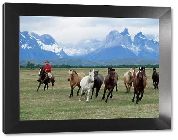 A group of gauchos riding horses, with the Cuernos del Paine (Horns of Paine) mountains behind