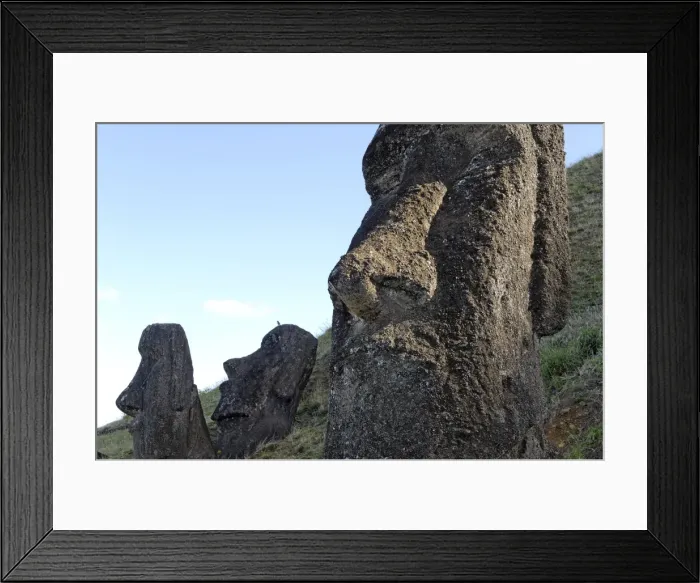 Framed Print : Maoi in the Rano Raraku volcanic crater formed of consolidated ash (tuf) Framed Print : Maoi in the Rano Raraku volcanic crater formed of consolidated ash (tuf)