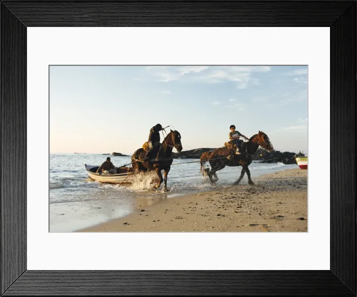 Framed Print : Horses dragging a fishing boat up the beach, Horcon, Chile, South America Framed Print : Horses dragging a fishing boat up the beach, Horcon, Chile, South America