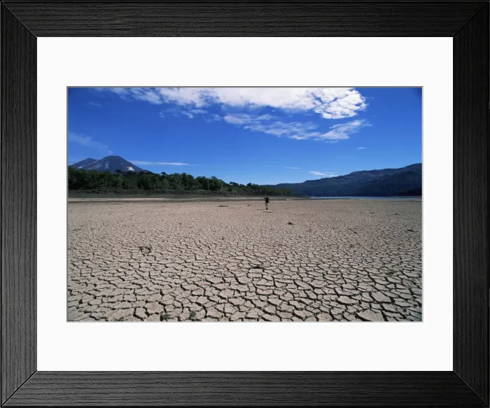 Framed Print : Backpacker walking across dried up lake towards Llaima volcano, Conguillio National Park Framed Print : Backpacker walking across dried up lake towards Llaima volcano, Conguillio National Park