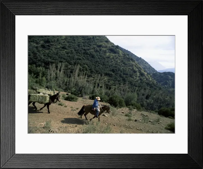 Framed Print : Man on horse with donkey and hay, near Las Condes, Sanatuario de la Naturaleza Framed Print : Man on horse with donkey and hay, near Las Condes, Sanatuario de la Naturaleza