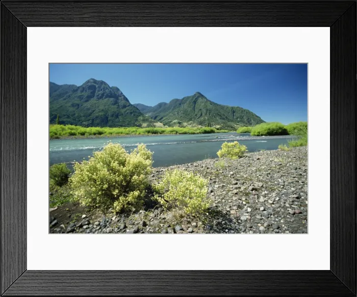 Framed Print : The Rio Minetue close to confluence with Lake Villarica in the Lake District Framed Print : The Rio Minetue close to confluence with Lake Villarica in the Lake District