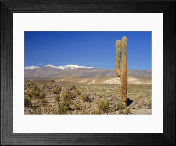 Framed Print : Atacama Desert, San Pedro de Atacama region with Andes on the horizon, Chile
