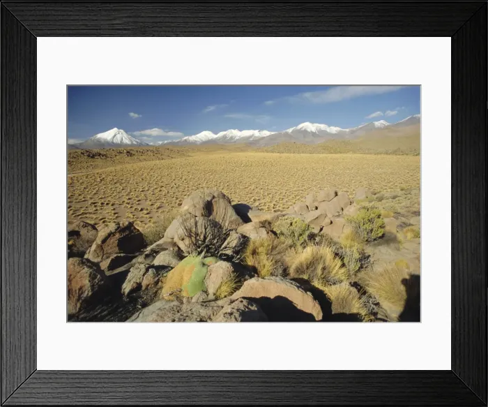Framed Print : The Atacama Desert and snow capped Andes beyond, San Pedro de Atacama region Framed Print : The Atacama Desert and snow capped Andes beyond, San Pedro de Atacama region