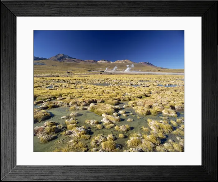 Framed Print : El Tatio Geyser in the San Pedro de Atacama, Chile, South America Framed Print : El Tatio Geyser in the San Pedro de Atacama, Chile, South America