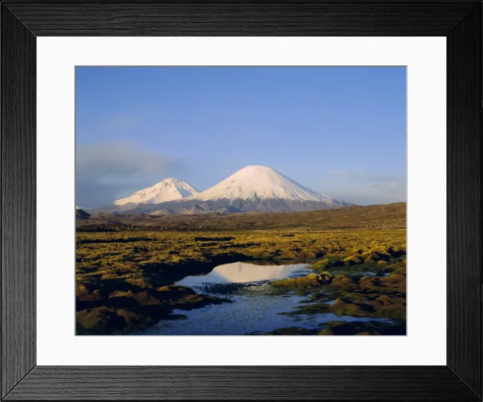 Framed Print : Volcan Parinacota and Volcan Pomerape, Lauca National Park, Chile, South America