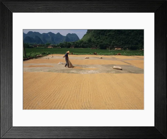 Framed Print : Drying grain near Yangshuo, China, Asia Framed Print : Drying grain near Yangshuo, China, Asia