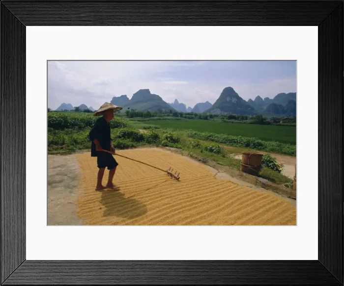 Framed Print : Farmer turning grain, near Yangshuo, Guangxi Province, China Framed Print : Farmer turning grain, near Yangshuo, Guangxi Province, China