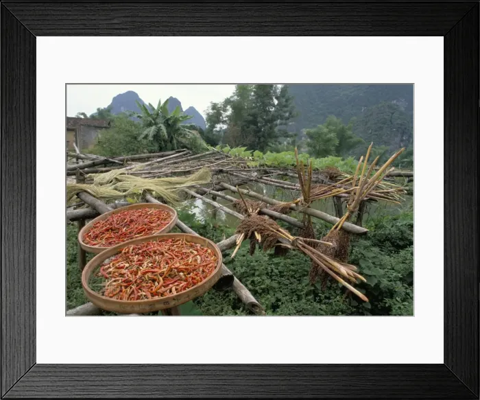 Framed Print : Peppers drying, Fung Lo village, China, Asia Framed Print : Peppers drying, Fung Lo village, China, Asia