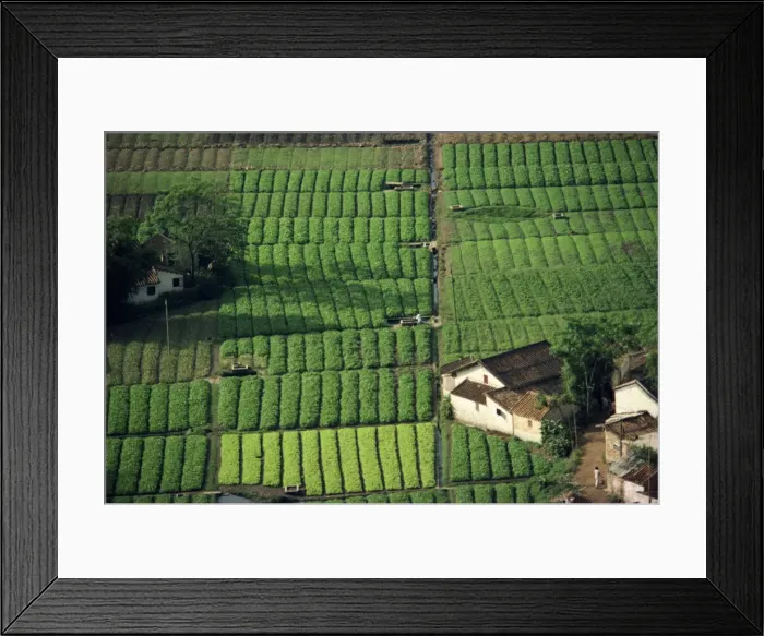 Framed Print : Aerial view of typical vegetable plots, irrigation and manure pits in Guangdong Province