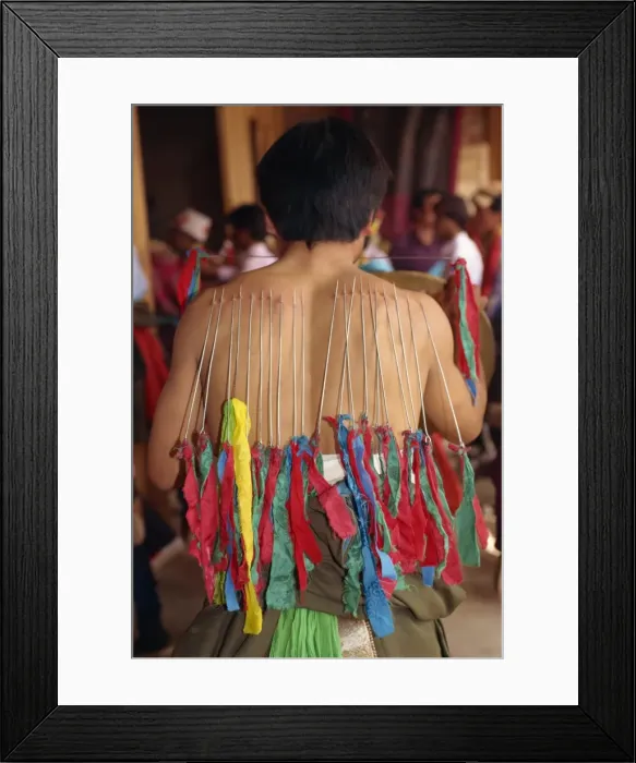 Framed Print : Back of a Tibetan man with needles inserted into skin in manhood rites in Qinghai Province Framed Print : Back of a Tibetan man with needles inserted into skin in manhood rites in Qinghai Province