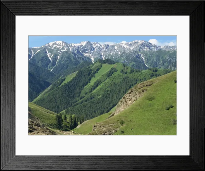 Framed Print : Forested hills and snow capped mountains at Tianshan near Sayram Lake in Xinjiang Framed Print : Forested hills and snow capped mountains at Tianshan near Sayram Lake in Xinjiang