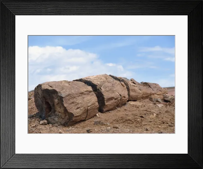 Framed Print : Petrified forest in Gurbantinggut Desert in north east Xinjiang, China, Asia Framed Print : Petrified forest in Gurbantinggut Desert in north east Xinjiang, China, Asia