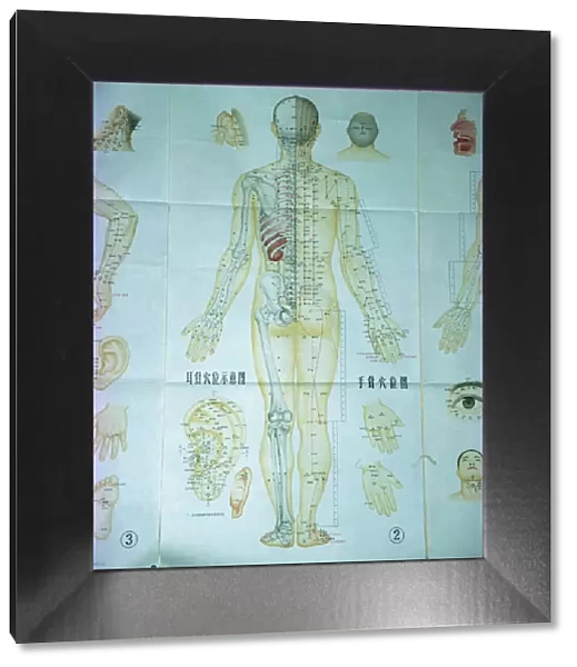 Illustration showing acupuncture points, China, Asia