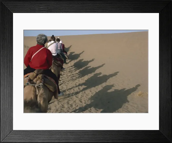 Framed Print : Shadows of tourists on camels, Dunhuang Province, China, Asia Framed Print : Shadows of tourists on camels, Dunhuang Province, China, Asia