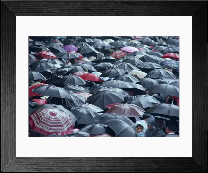 Framed Print : Sea of umbrellas, Shanghai, China, Asia Framed Print : Sea of umbrellas, Shanghai, China, Asia