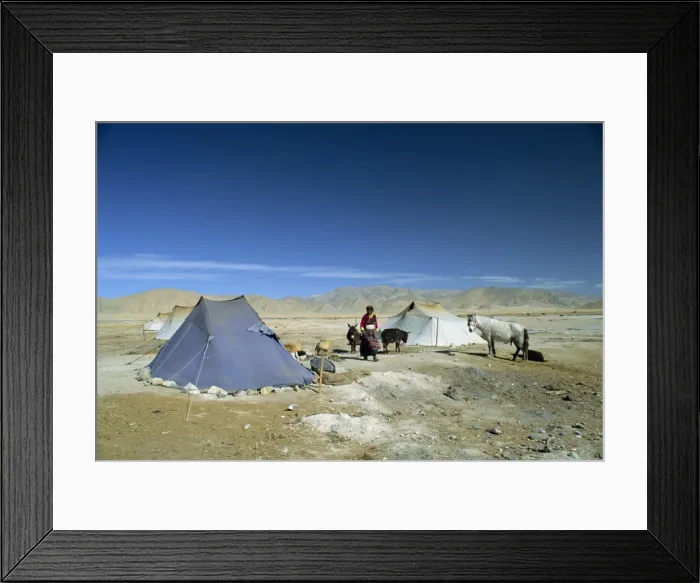 Framed Print : Tibetan nomads camp near Tingri in Tibet, China, Asia Framed Print : Tibetan nomads camp near Tingri in Tibet, China, Asia