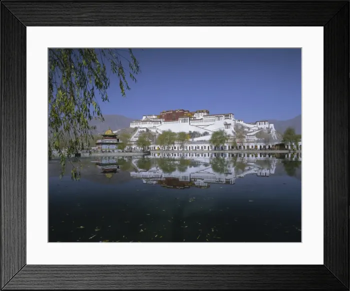 Framed Print : The Potala Palace, Lhasa, Tibet, China, Asia Framed Print : The Potala Palace, Lhasa, Tibet, China, Asia